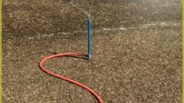 Já começou a recuperação do gramado do Campo de Futebol