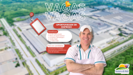 Vagas Imperdíveis de Emprego com Benefícios Exclusivos: Oportunidade para Desterro do Melo!