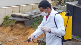 Dedetização no Cemitério: Ação para Garantir Segurança e Saúde Pública
