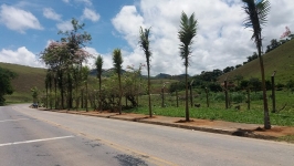 Governo Municipal inicia o Projeto Cidade Viva