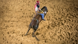 28º Expo bate recorde de público e marca as comemorações do evento agropecuário em Desterro do Melo