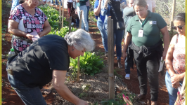 Agricultores tem Dia de Campo com a EPAMIG