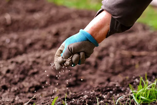 O Cadastro para realizar Compra Conjunta de Adubos e Fertilizantes está aberto