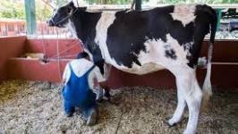 Desterro do Melo busca recursos junto ao Ministério da Agricultura