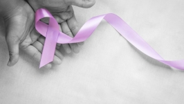 Janeiro Branco e Janeiro Roxo